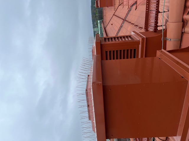 Fågelpiggar och fågelavvisare